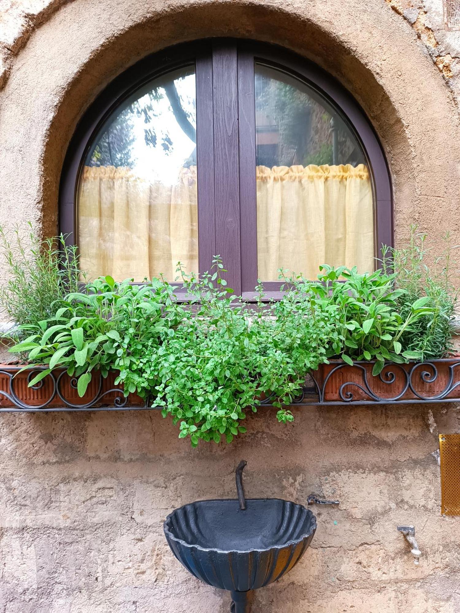Casa Con Giardino Due Passi Dal Duomo Orvieto